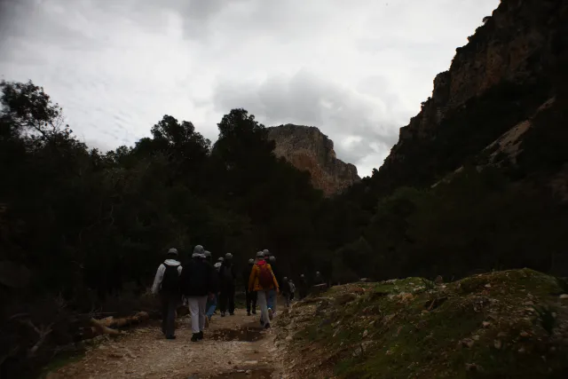 Auto Exaktar EEM 35mm f2.8 ( Minolta MD) - 00003005.webp