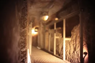 KOWA SUPER PROMINAR-16 50mm f1.2 Eiki 16mm (DIY) - 00003883.webp