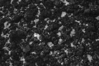 PZO Janpol Color 80mm f5.6 (M42) - 00001933.webp