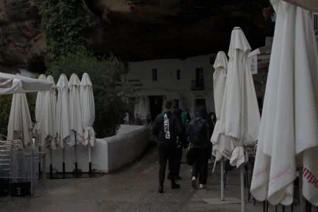 Tamron 28-300mm F3.5-6.3 (EF) - 00001439.webp