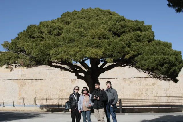 Tamron 28-300mm F3.5-6.3 (EF) - 00003695.webp