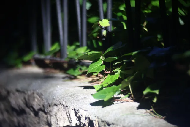 Simplex Ampro Ltd 2.5cala (63.5mm) f1.8 16mm (DIY) - 00003138.webp