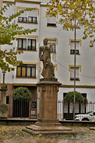 Tamron 28-300mm F3.5-6.3 (EF) - 00001449.webp