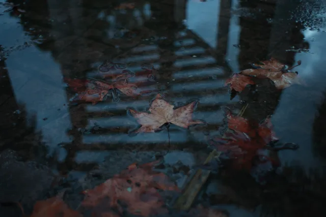 Auto Exaktar EEM 35mm f2.8 ( Minolta MD) - 00002268.webp