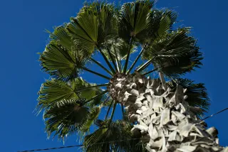 Zenith Helios-77M-4 50mm f1.8 VOMZ (M42) - 00000812.webp