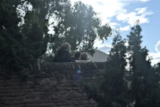 Meyer-Optik Görlitz Primagon 35mm f4.5 (M42) - 00001129.webp