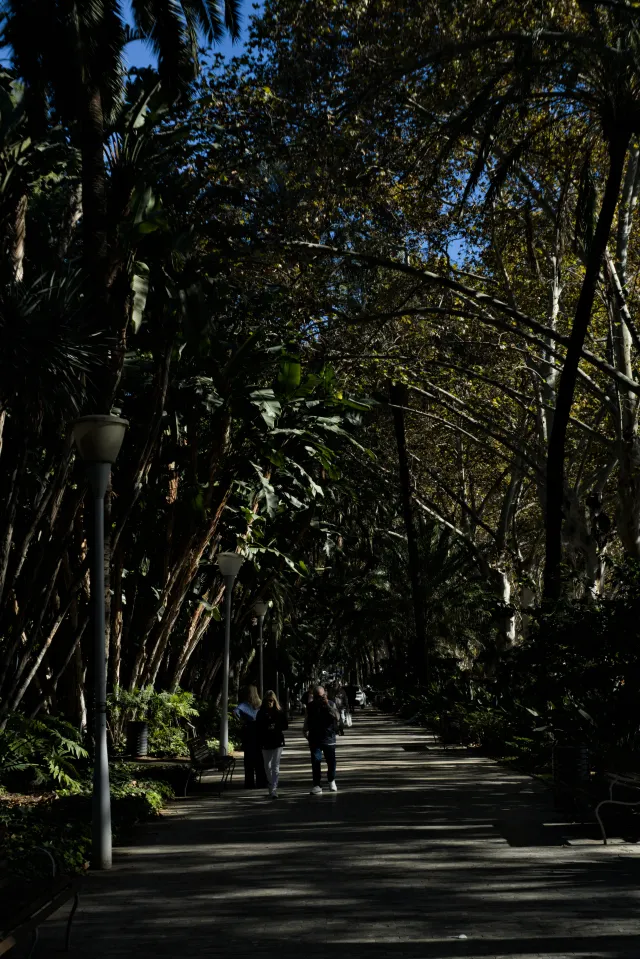 Meyer-Optik Görlitz Primagon 35mm f4.5 (M42) - 00000277.webp