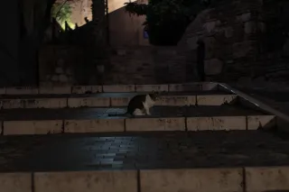 Zenith Helios-77M-4 50mm f1.8 VOMZ (M42) - 00002649.webp