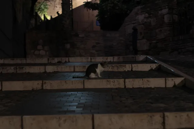 Zenith Helios-77M-4 50mm f1.8 VOMZ (M42) - 00002649.webp