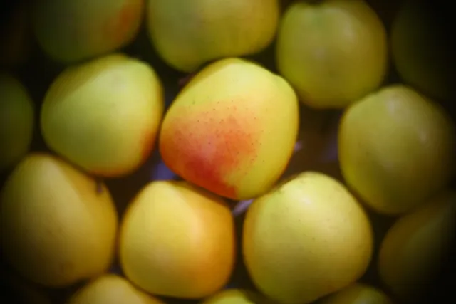 Simplex Ampro Ltd 2.5cala (63.5mm) f1.8 16mm (DIY) - 00002834.webp