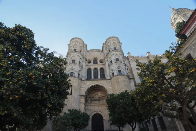 Tokina at-x 116 (EF) - 00000072.webp