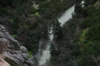 Minolta MC Rokkor-PF 55mm f1.7 (Minolta MCMD) - 00003030.webp