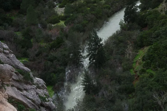 Minolta MC Rokkor-PF 55mm f1.7 (Minolta MCMD) - 00003030.webp