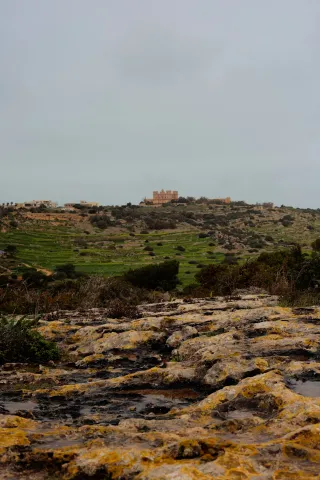 Carl Zeiss Jena DDR Pancolar Electric 50mm f1.8 (M42) - 00004543.webp