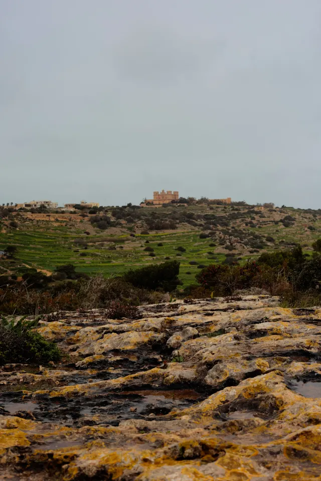 Carl Zeiss Jena DDR Pancolar Electric 50mm f1.8 (M42) - 00004543.webp