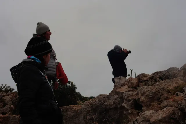 Carl Zeiss Jena DDR Pancolar Electric 50mm f1.8 (M42) - 00004545.webp