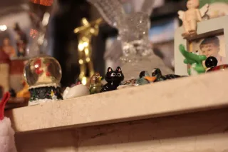 Rollei Planar 50mm f1.8 HFT C (QBM) - 00001569.webp