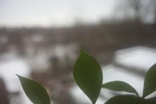 Super Paragon PMC II Auto 28mm f2.8 (Minolta MD) - 00004722.webp