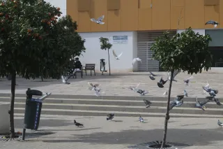 Industar-50-2 50mm f3.5 (M42) - 00000469.webp