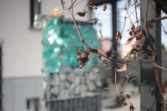 Meyer-Optik Görlitz Domiplan f2.8 50mm (M42) - 00005138.webp