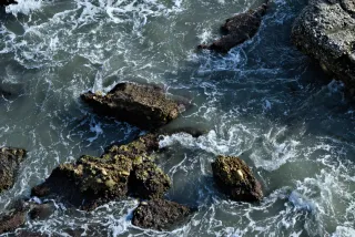 Tamron 28-300mm F3.5-6.3 (EF) - 00000349.webp