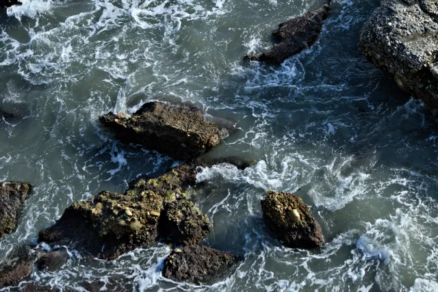 Tamron 28-300mm F3.5-6.3 (EF) - 00000349.webp