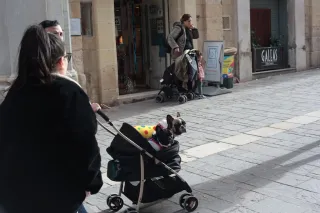 Carl Zeiss Jena DDR Pancolar Electric 50mm f1.8 (M42) - 00004119.webp