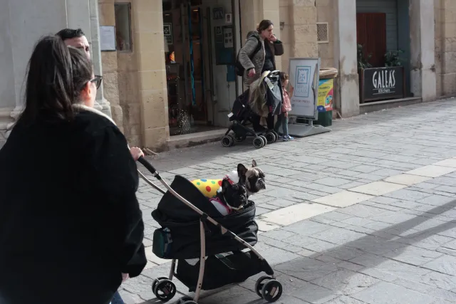 Carl Zeiss Jena DDR Pancolar Electric 50mm f1.8 (M42) - 00004119.webp