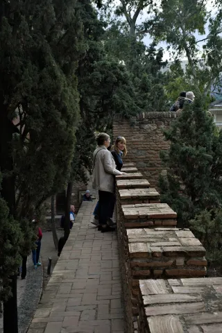 Meyer-Optik Görlitz Primagon 35mm f4.5 (M42) - 00001128.webp