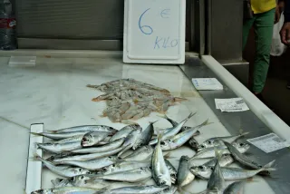 Tamron 28-300mm F3.5-6.3 (EF) - 00000547.webp