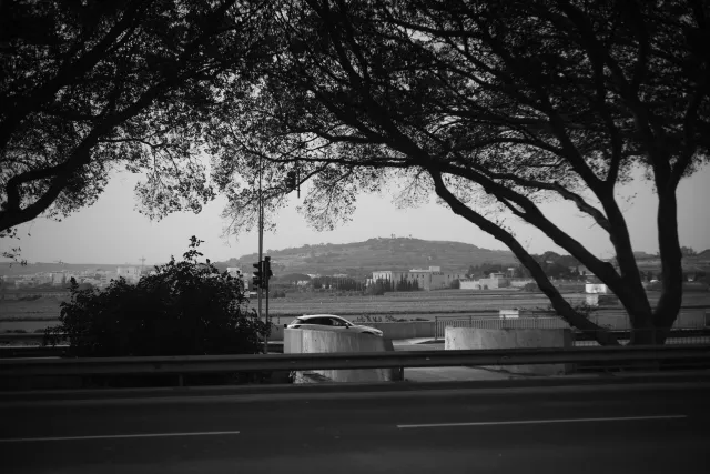 Meyer-Optik Görlitz Primagon 35mm f4.5 (M42) - 00003992.webp