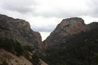 Minolta MC Rokkor-PF 55mm f1.7 (Minolta MCMD) - 00002997.webp