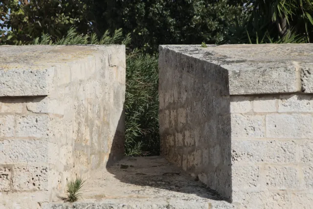 Tamron 28-300mm F3.5-6.3 (EF) - 00003709.webp