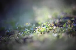 KOWA SUPER PROMINAR-16 50mm f1.2 Eiki 16mm (DIY) - 00002051.webp