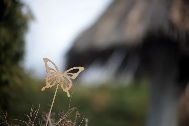 Formula 5 Gold Crown Macro Zoom 60-150mm f4 MC (M42) - 00005010.webp