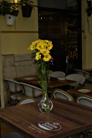 Meyer-Optik Görlitz Primagon 35mm f4.5 (M42) - 00000298.webp