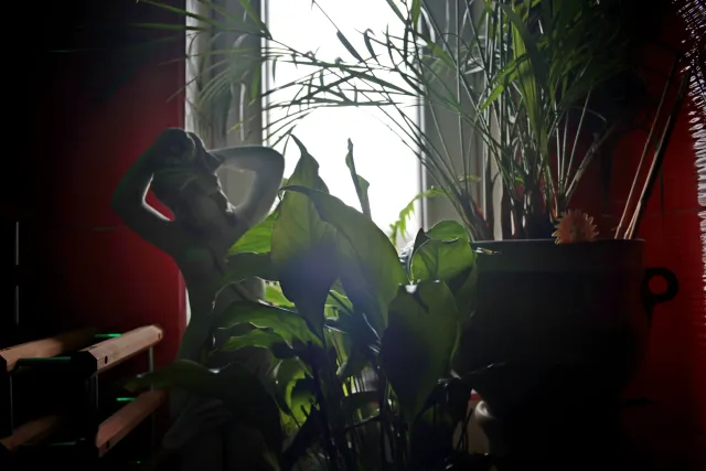 Hoya HMC Wide-auto 28mm f2.8 (FD) - 00005202.webp