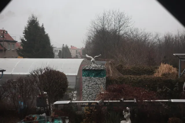 Jena Biotar 58mm f2.0 (wczesny, ~1953) (M42) - 00003201.webp