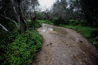 Carl Zeiss Flektogon f4 20mm (m42).md - 00004504.webp