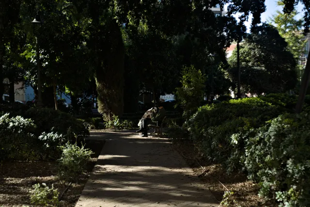 Meyer-Optik Görlitz Primagon 35mm f4.5 (M42) - 00000267.webp