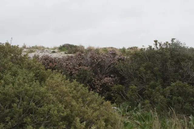 Tamron 28-300mm F3.5-6.3 (EF) - 00004561.webp