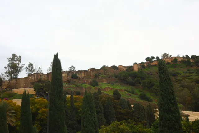 Minolta MC Rokkor-PF 55mm f1.7 (Minolta MCMD) - 00002881.webp