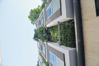 Tokina at-x 116 (EF) - 00000198.webp