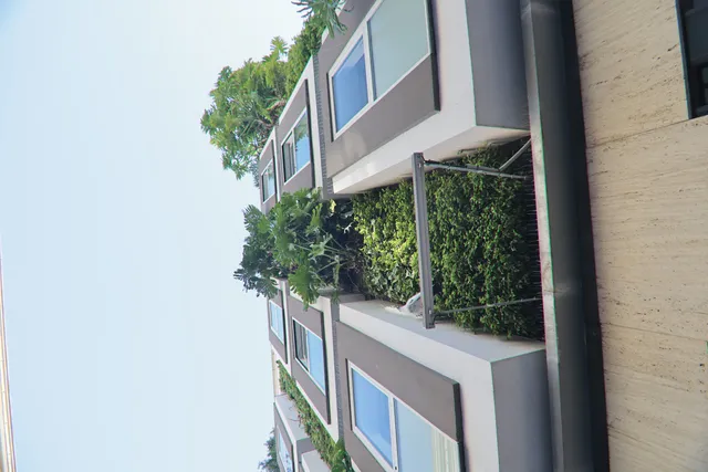 Tokina at-x 116 (EF) - 00000198.webp