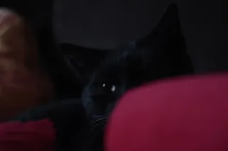 Jena Biotar 58mm f2.0 (wczesny, ~1953) (M42) - 00002455.webp