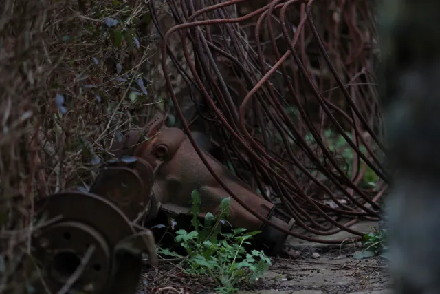 Auto Mamiya-Sekor 200mm f3.5 (M42) - 00005078.webp