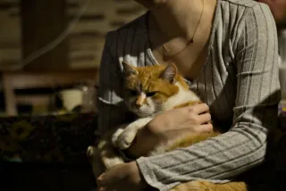 Prexer Krytos 85mm f2.8 (DIY) - 00001498.webp