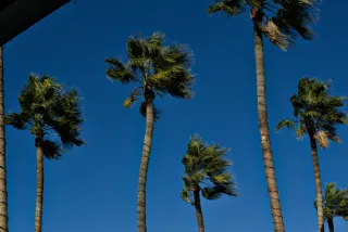 Zenith Helios-77M-4 50mm f1.8 VOMZ (M42) - 00001276.webp