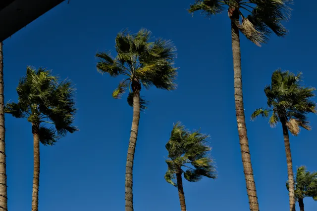 Zenith Helios-77M-4 50mm f1.8 VOMZ (M42) - 00001276.webp