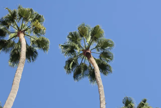 Zenith Helios-77M-4 50mm f1.8 VOMZ (M42) - 00002673.webp